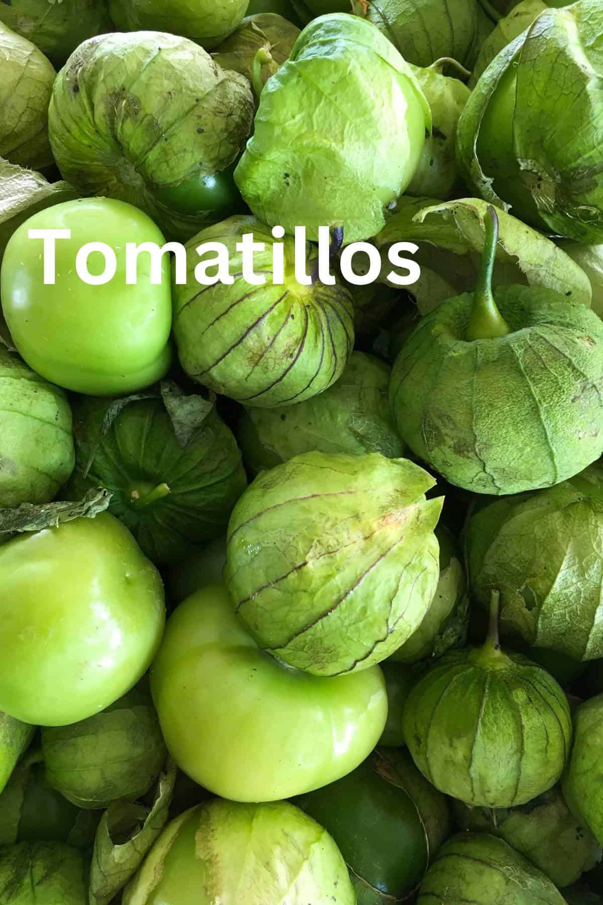 Ingredients of a Mexican grocery list - Tomatillos