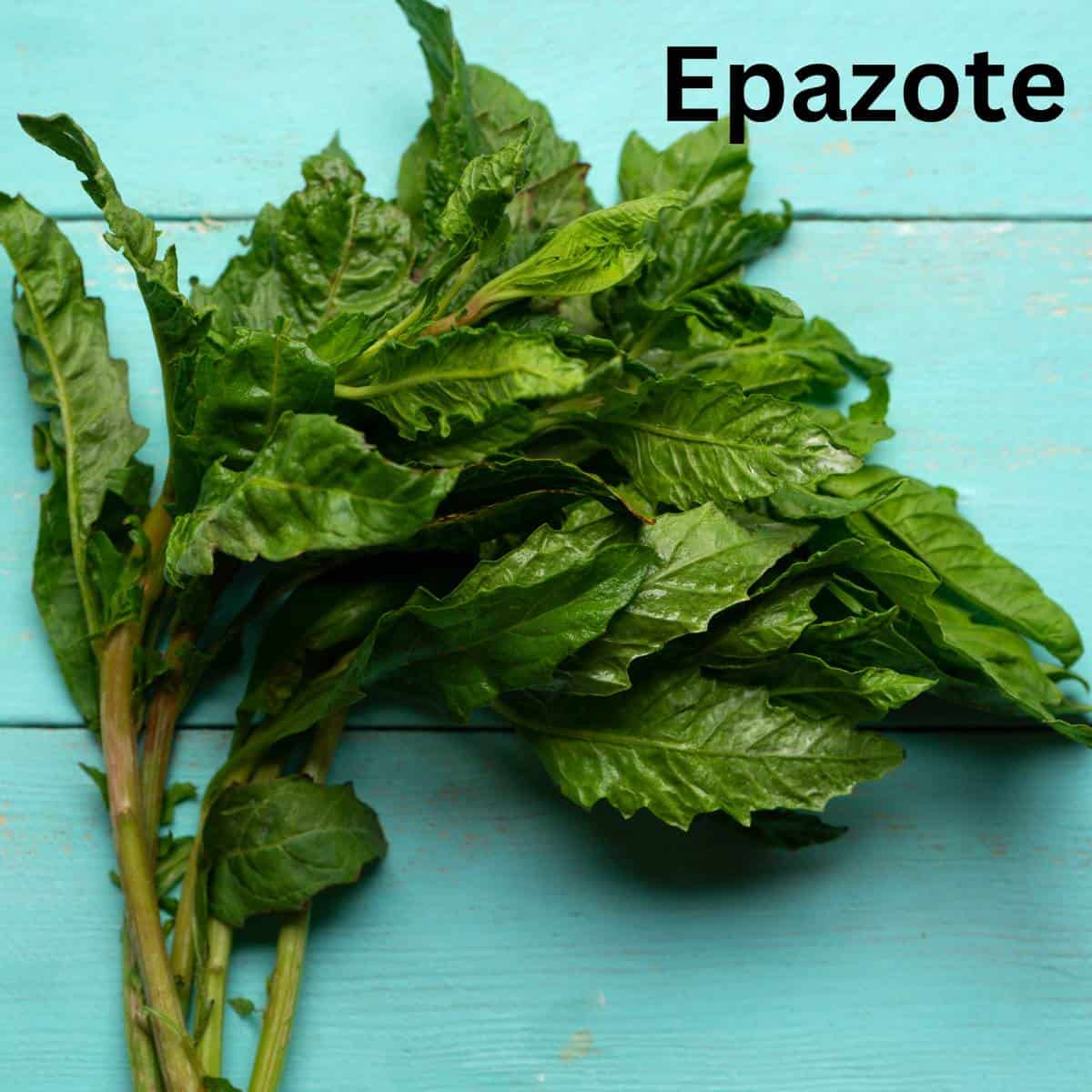 Ingredients of a Mexican grocery list - Epazote