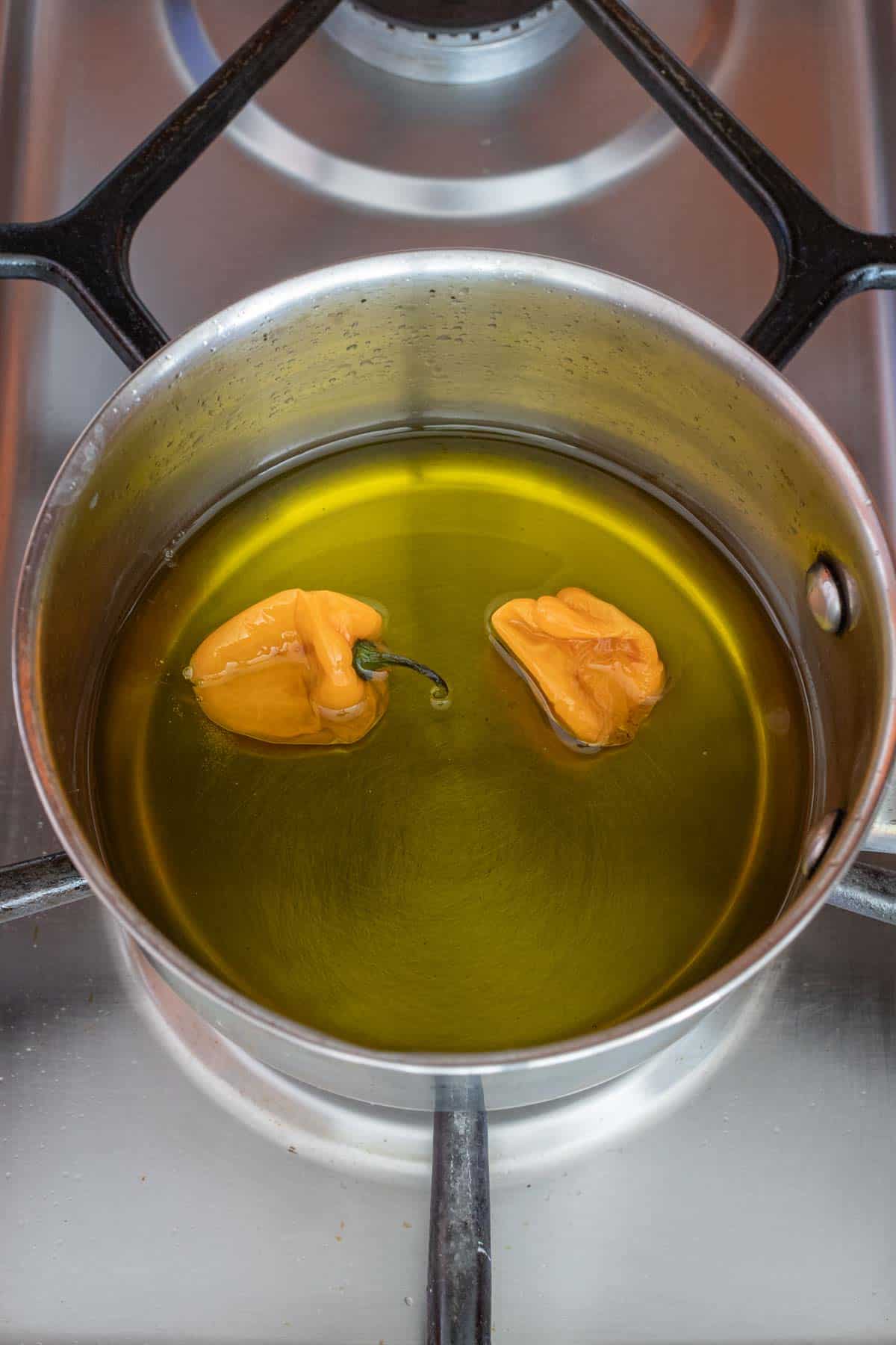 Spicy Hummus with Habanero - Habanero in oil