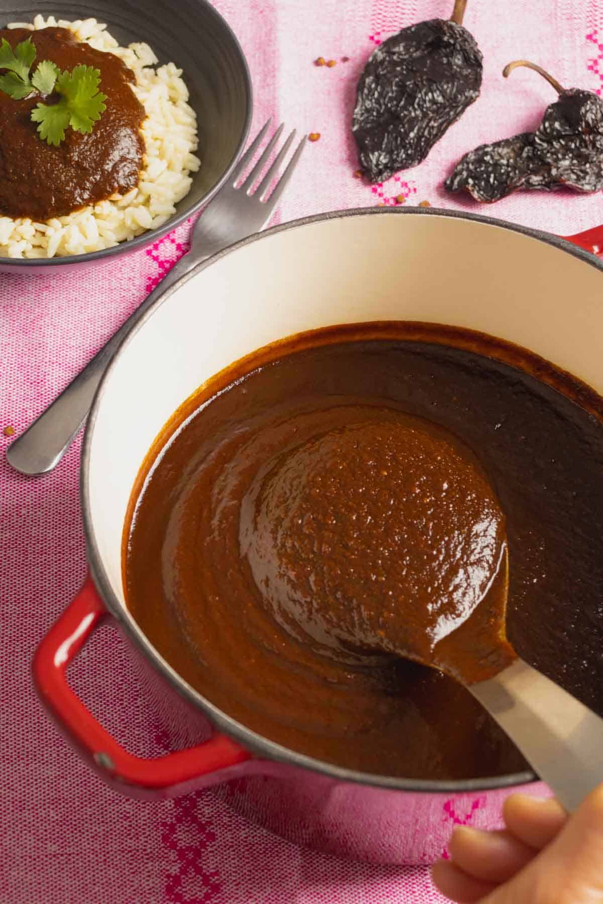 Red Mole sauce served with some rice.