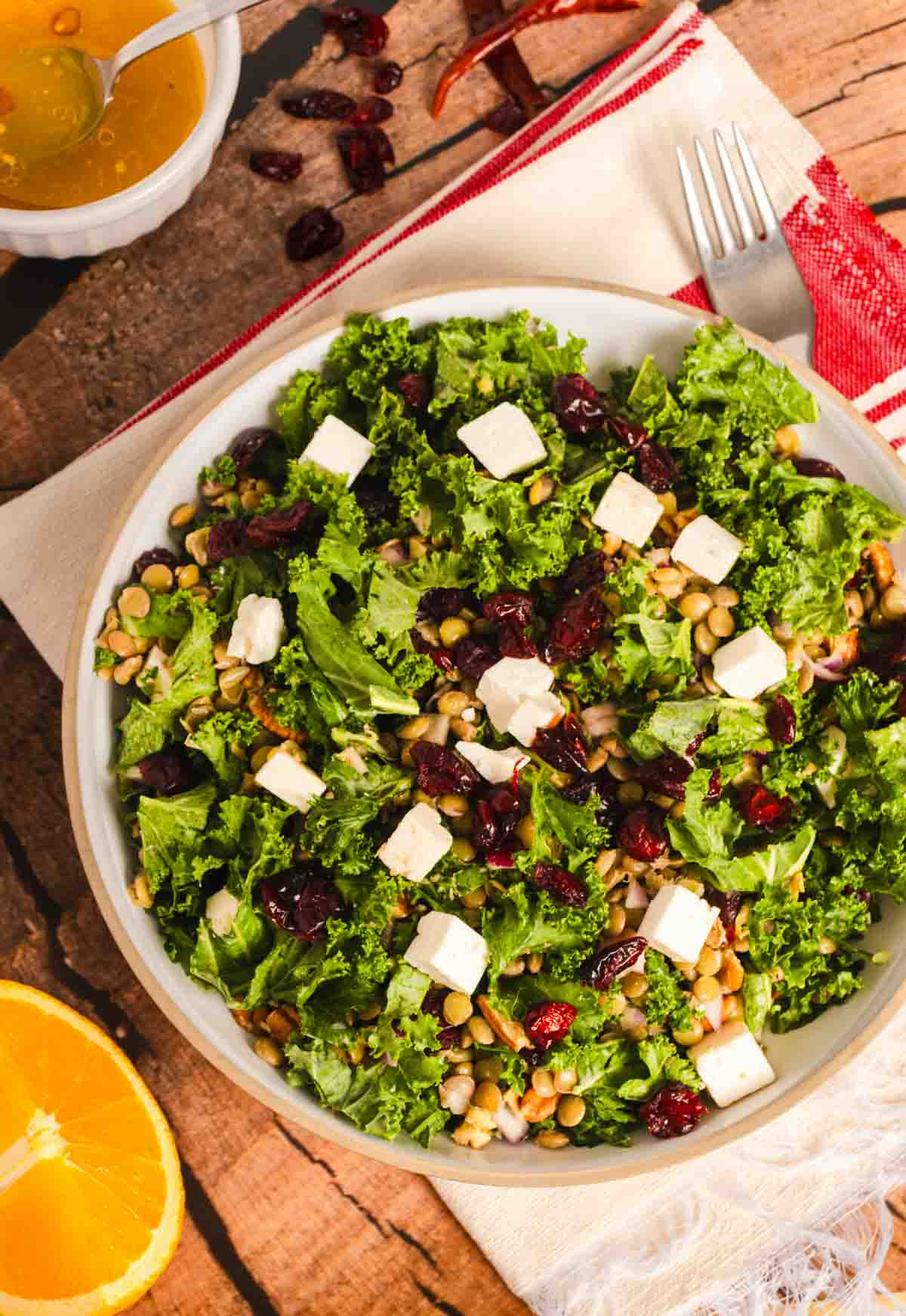 Lentil and Kale Salad with Cranberries served in a bowl with citrusy vinagrette.