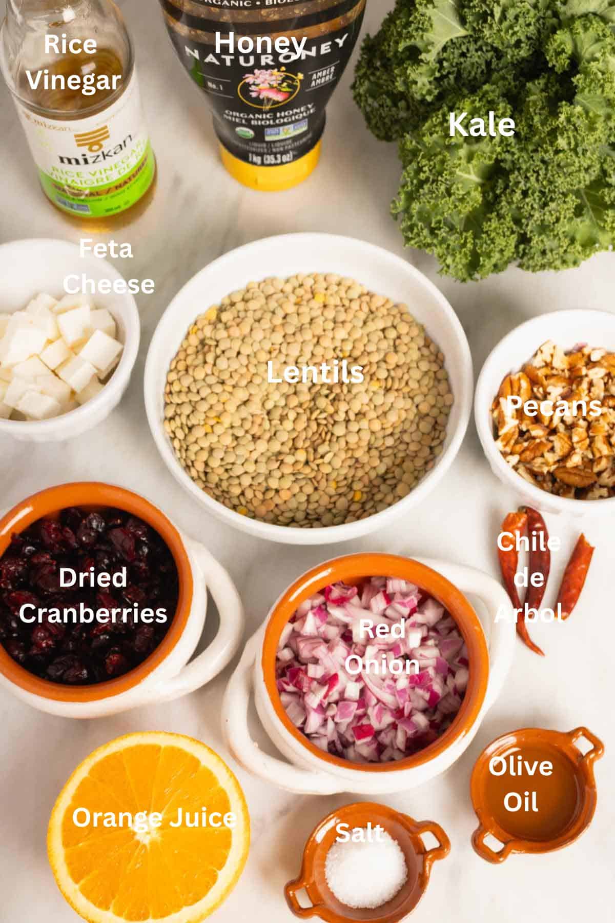 Lentil and Kale Salad with cranberries Ingredients.