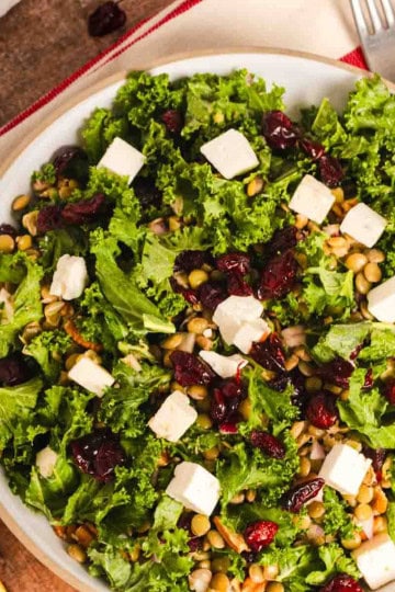 Lentil and Kale Salad with Cranberries served in a bowl with citrusy vinagrette.