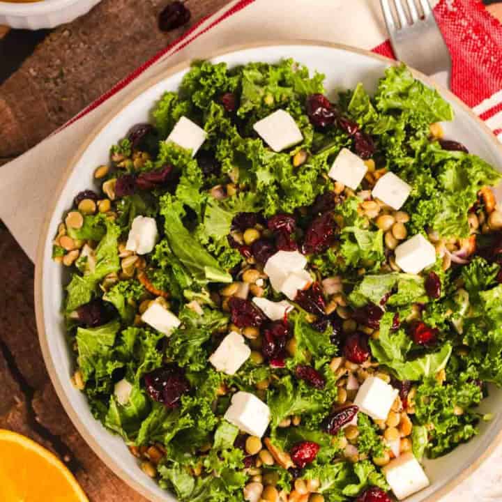 Lentil and Kale Salad with Cranberries served in a bowl with citrusy vinagrette.
