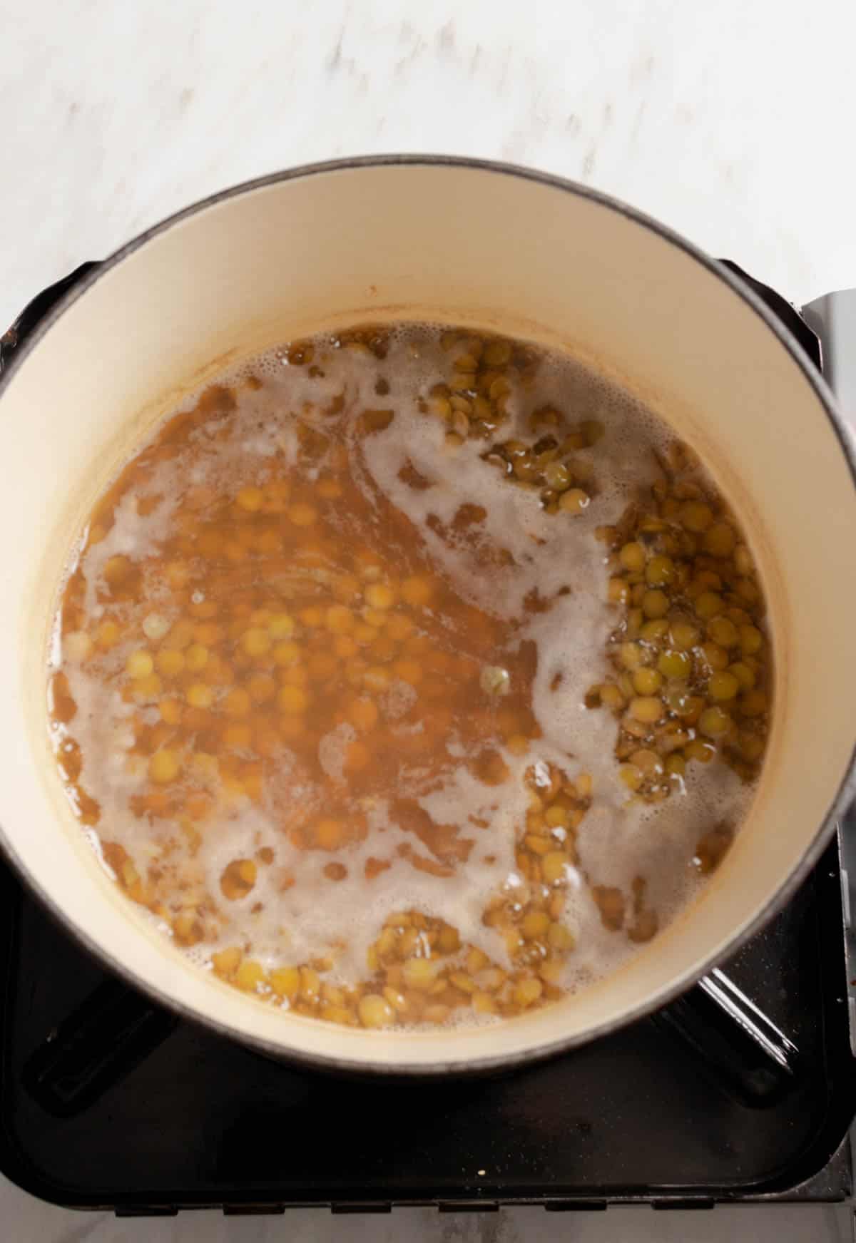 Cooking Lentils for Lentil and Kale Salad with cranberries